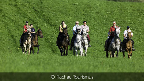 Reiten in der Gruppe